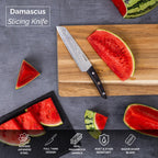 Japanese Steel 67-Layer Damascus Style Slicing Knife with Pakkawood Handle, by Nuovva